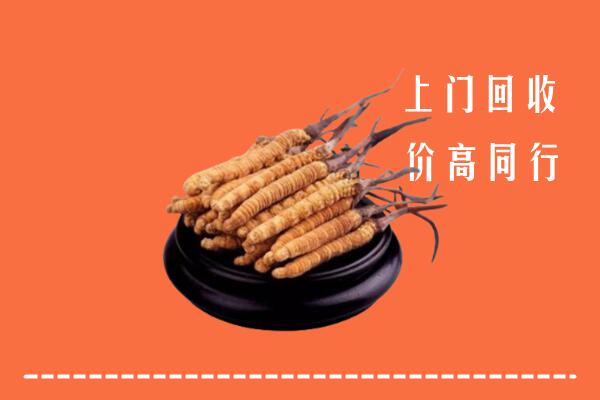 高价求购：黄龙县回收散虫草