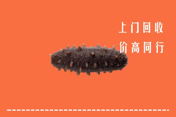 高价求购：黄龙县回收海参