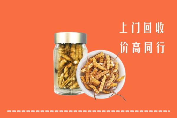 收购行情：黄龙县回收冬虫夏草
